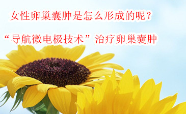 卵巢囊肿的病因