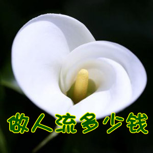 杭州打胎多少钱
