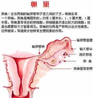 妇科疾病在线咨询 女性卵巢囊肿的原因