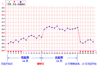 月经过后什么时候容易怀孕
