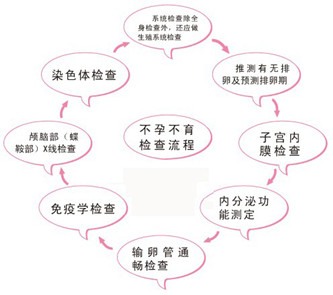 女性能否生育需做哪些检查